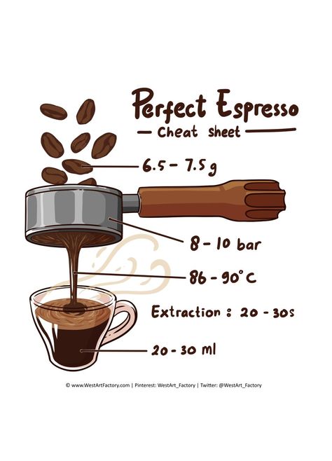 Espresso Guide, Coffee Making Process, Espresso Station, Italian Coffee Shop, Espresso Art, Espresso Making, Coffee Chart, Coffee Machine Design, Coffee Process