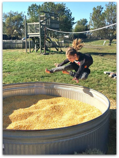 Pumpkin Patch Festival Ideas, Pumpkin Patch Corn Pit, Pumpkin Patch Garden Layout, Corn Play Pit, Pumpkin Patch Scarecrow, Farm Halloween Party, Farm Obstacle Course, Diy Pumpkin Patch For Kids, Pumpkin Festival Ideas