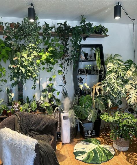 Soltech | Talk about lush! 🌿🍃 @gothplantmama’s plant room is practically a jungle with all these large leaves and trailing vines. The indoor… | Instagram Plant Esthetics Room, Vining Plants Indoor Ideas, Plant Filled Apartment, Plant Storage Indoor, Jungle Room Aesthetic, Plant Filled Living Room, Plant Rooms, Dream Bedroom Inspiration, Cottagecore Home