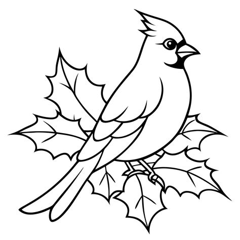 Outline Cardinal Bird Clipart Drawings Of Cardinals, How To Draw A Cardinal Step By Step, Easy Cardinal Drawing, Cardinal Svg Free Cricut, Cardinal Drawing Simple, Bird Clipart Black And White, Cardinal Coloring Pages, Cardinal Template, Cartoon Cardinal