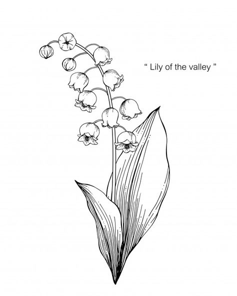 Lily Of The Valley Drawing, Valley Drawing, Lilies Drawing, Visuell Identitet, Flower Tattoo Drawings, Lily Of The Valley Flowers, Valley Flowers, Birth Flower Tattoos, White Drawing