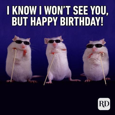 30 of the Funniest Happy Birthday Memes | Reader's Digest Hilarious Happy Birthday, Silly Happy Birthday, Meme Happy, Funny Happy Birthday Meme, Dance Happy, Happy Memes, Funny Birthday Meme, Funny Happy Birthday Wishes, Birthday Wishes Funny