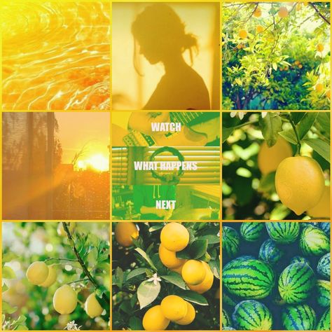 Yellow/green/summer/fruit/Waterparks aesthetic Fruit Mood Board, Waterparks Aesthetic, Adopt Idea, Picture Boards, Rainbow Aesthetic, Mood Board Inspiration, Summer Theme, Mood Board Design, Summer Fruit