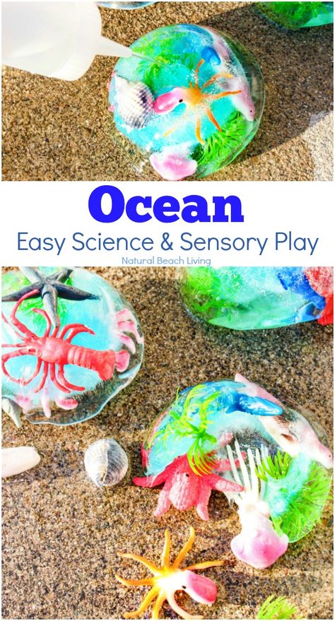 Preschool FROZEN OCEAN SENSORY BIN Ocean Sensory Activities, Science Preschool Activities, Ocean Theme Preschool Activities, Frozen Ocean, Ocean Sensory, Preschool Ocean, Future Educator, Sensory Tables, Toddler Sensory Bins