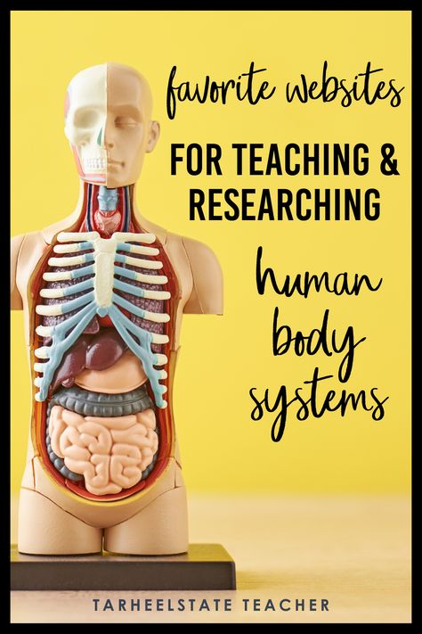 Body Systems Project Middle School, Human Body Systems Projects High School, Body Systems Middle School, Teaching Body Systems, Health Science Classroom, Dietitian Humor, Highschool Classroom, Human Body Systems Projects, Body Systems Project