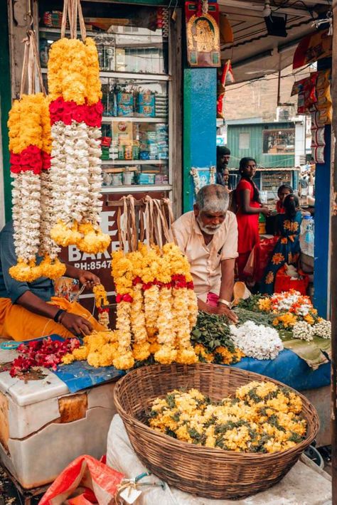 A Complete Travel Guide to Munnar: The Tea Capital of Kerala, India - Travel With CG Munnar Kerala, Fancy Store, South Asian Aesthetic, Old Film Posters, Most Beautiful Places To Visit, Munnar, House Plants Decor, Kerala India, Instagrammable Places