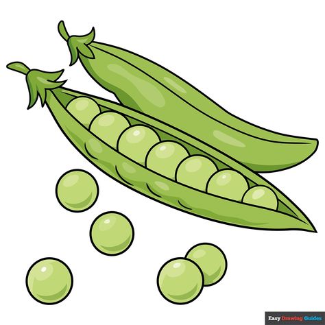 How to Draw Peas Pea Plant Drawing, Pea Drawing, Alphabet Letters To Print, Vegetable Drawing, Pea Plant, Flower Drawing Tutorials, Easy Drawing Tutorial, Drawing Tutorials For Kids, Drawings Ideas