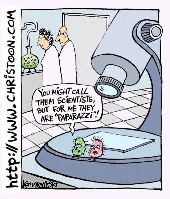 Teaching Cartoons | MYP @ Global Jaya International School Germs are fames so scients are paparazzi Microbiology Humor, Biology Jokes, Biology Memes, Lab Humor, Science Cartoons, Science Comics, Biology Humor, Children Songs, Nerdy Jokes