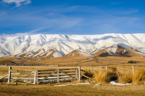 Farm gates and tussock with snow covered Hawkduns behind, Central Otago, New Zealand Roys Peak New Zealand, New Zealand Snow, New Zealand Aotearoa, Magic Photography, Nz Landscape, Milford Sound New Zealand Photography, Farm Gates, New Zealand Country, Hiking New Zealand