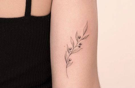 Olive Branch Tattoo With Name, Feminine Olive Branch Tattoo, Vine Branch Tattoo, Branch And Vine Tattoo, Olive Branch Tattoo Ideas, Olive Branch Tattoo Back Of Arm, Delicate Olive Branch Tattoo Simple, Olive Branch Tattoo Dainty, Italian Olive Branch Tattoo