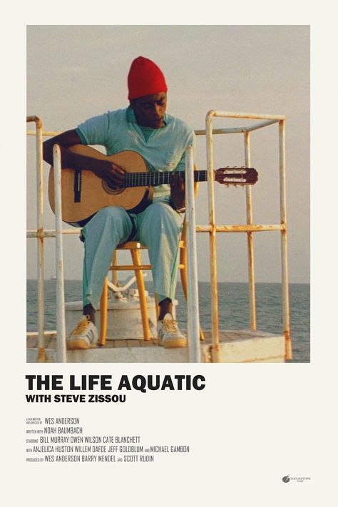 The Life Aquatic With Steve Zissou (2004) Life Aquatic With Steve Zissou, Wes Anderson Aesthetic, Anderson Aesthetic, Steve Zissou, The Life Aquatic, Wes Anderson Movies, Wes Anderson Films, The Royal Tenenbaums, Movie Wall