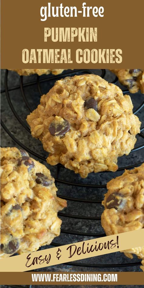 Pumpkin Oatmeal Chocolate Chip Cookies, Gluten Free Pumpkin Cookies, Pumpkin Cookies Healthy, Pumpkin Cookies Easy, Gluten Free Pumpkin Recipes, Protein Options, Oatmeal Cookies Easy, Cookie Recipes Oatmeal Raisin, Pumpkin Oatmeal Cookies