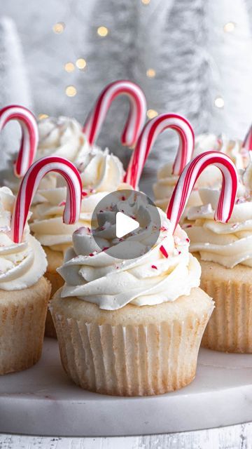 98K views · 22K likes | Ginny | In Bloom Bakery on Instagram: "WHITE CHOCOLATE PEPPERMINT CUPCAKES 🍬✨🤍

Fluffy & moist white cupcakes filled with white chocolate peppermint ganache & frosted with white chocolate peppermint buttercream 🥹

#candycane #christmascupcakes #whitechocolate" White Chocolate Peppermint Cupcakes, Moist White Cupcakes, Peppermint Ganache, Peppermint Buttercream, Chocolate Peppermint Cupcakes, In Bloom Bakery, Bloom Bakery, Peppermint Cupcakes, White Chocolate Peppermint