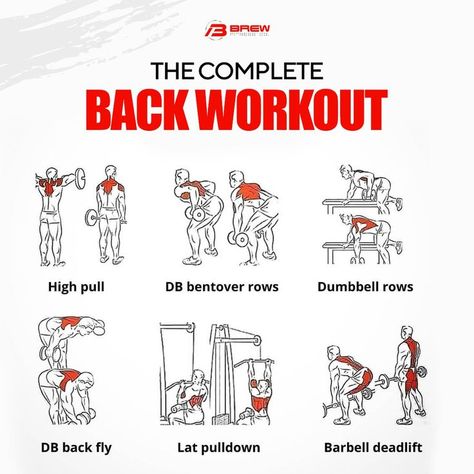 Wings Workout, Complete Body Workout, Back Workout Routine, Dumbbell Workout At Home, Back Day Workout, Gym Workout Guide, Workout Program Gym, Bodybuilding Workouts Routines, Dumbell Workout