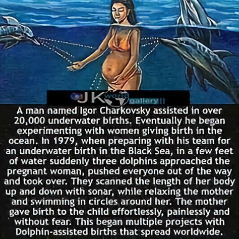 Fun Facts About Science, Amazing Nature Facts, Pregnancy Facts Interesting, Creepy Facts True, Historical Facts Creepy, Dark Psychology Facts, Real Creepy Facts, Factinate Stories, Random Science Facts