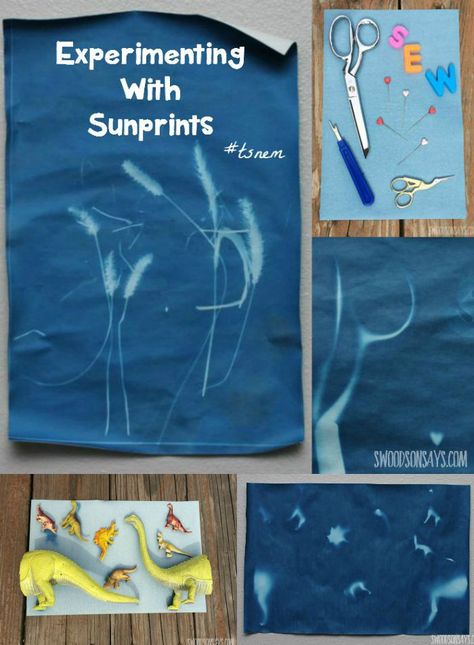 Experimenting with Sunprints - A cool paper that dyes in the sun, great for kids crafts and nature play! Swoodsonsays.com Diet Bread, Kids Play Spaces, Sun Prints, Diy Jewelry Unique, Ketogenic Diet Plan, Nature Play, Program Ideas, Science Experiments Kids, The Lifestyle