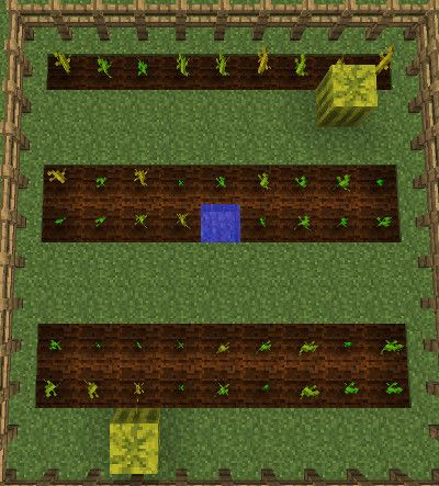 Minecraft Pumpkin, How To Farm, Farm Minecraft, Minecraft Farm, Minecraft Banners, Minecraft Tips, Minecraft Games, Pumpkin Farm, Land Use