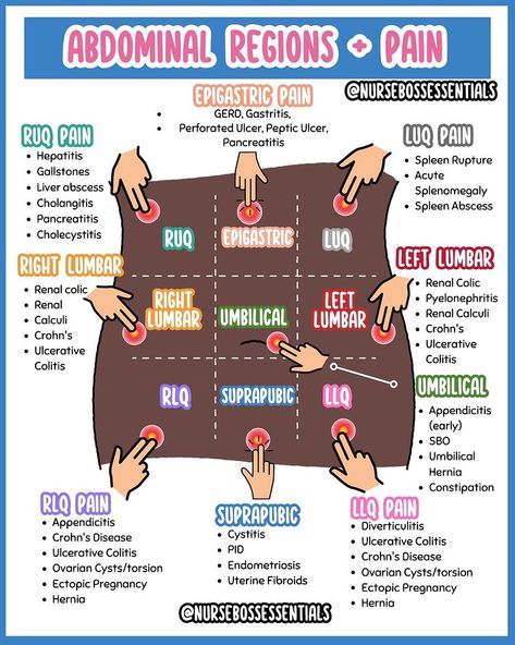 Dr. Nurse Vicky (Fiskvik Antwi) | For my nursing students currently in clinicals or nursing assessment, save this post! . . . #nclexpn #nclexrn #nclexstudying #nclexprep… | Instagram Nursing Tools, Nursing School Studying Cheat Sheets, Emt Study, Medical Terminology Study, Paramedic School, Nclex Review, Nursing Assessment, Nursing School Essential, Nursing School Motivation