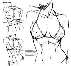 Character Anatomy | Breast on Pinterest | Character Design References, Character Design and How To Draw Manga Female Anatomy Reference, Female Drawing, Body Drawing Tutorial, Human Anatomy Drawing, Anatomy Sketches, Body Reference Drawing, Anatomy Poses, Body Anatomy, Female Anatomy