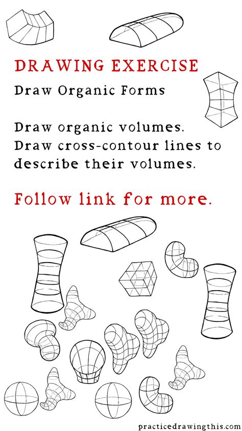 Volume Study Drawing, Construction Lines Drawing, How To Draw Volume, Drawing Organic Forms, Drawing Practice Exercises Shapes, Sketch Practice Exercises, Contour Lines Drawing, Line Exercises Drawing, Drawing Excercices