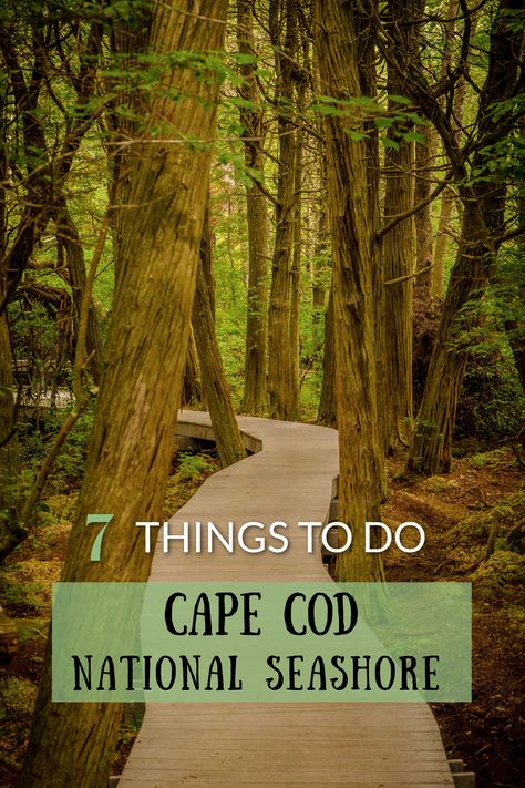 Best things to do at the Cape Cod National Seashore in Massachusetts Cape Cod To Do, How To Dress For Cape Cod, Cape Cod In September, Cape Cod September, Cape Cod Day Trip, Cape Cod October, Cape Cod In October, Cape Cod Things To Do Fall, Cape Cod Things To Do Summer