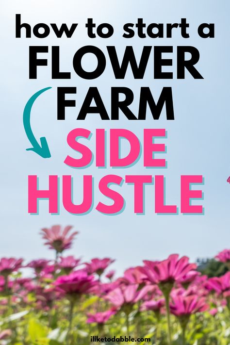 Learn how to start a small-scale backyard flower farm as a side hustle and how to make money as a flower farmer in this free guide. Backyard Business Ideas, Small Hobby Farm Layout, How To Sell Flowers, Starting A Flower Business, Flower Farming For Beginners, Selling Flowers From Home, Garden Goals, Flower Farm For Beginners, Small Homestead Ideas