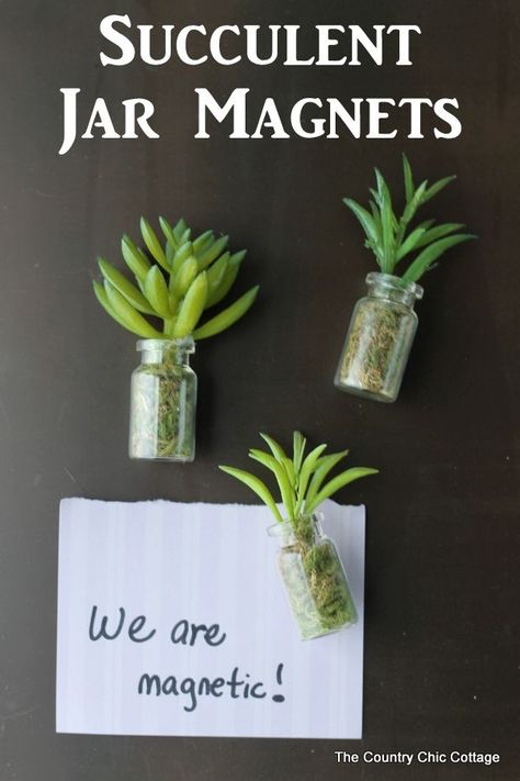 Succulent jar magnets -- make these in minutes and use on your fridge and more! Diy Magnets, Country Chic Cottage, Diy Kitchen Decor, Diy Holiday Gifts, Cactus Y Suculentas, Deco Floral, Succulents Diy, Cheap Diy, Decoration Christmas