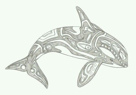 Orca Tattoo Design, Orca Painting, Baker Tattoo, Native American Animals, Orca Tattoo, Alaska Art, Native Tattoos, Pacific Northwest Art, Sea Mammal