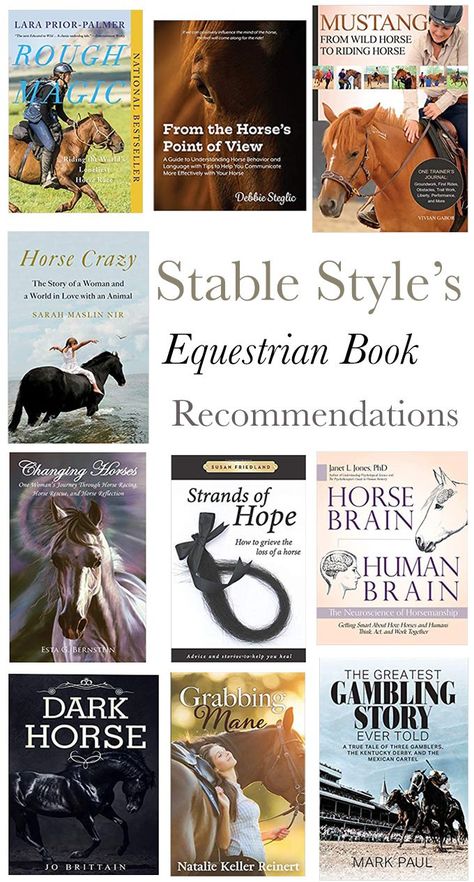 Stable Style, Winter Reading, Horse Movies, Mug Of Coffee, Horse Story, Winter Horse, Romance Series Books, Light A Candle, Horse Ideas