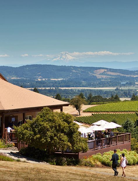 Visit | Domaine Drouhin Oregon Hermiston Oregon, Neskowin Oregon, Oregon Coast Breweries, Oregon Wineries, Oregon Wine Country, By Appointment Only, Willamette Valley, Growing Grapes, Day And Time