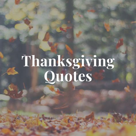 150 Thanksgiving Quotes — Inspirational Thanksgiving Day Quotes Poem For My Son, Thanksgiving Quotes Christian, Thanksgiving Quotes Family, Inspiring Poems, Thanksgiving Quotes Inspirational, Happy Thanksgiving Pictures, Quotes Facts, Christian Thanksgiving, Quotes Jesus