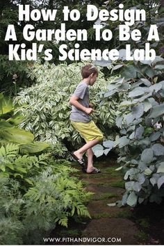 Learn to make your backyard into a fun and beautiful science lab for your kids. Kids Science Lab, Design A Garden, Common Garden Plants, Backyard Adventure, Sensory Garden, Children's Garden, Outdoor Classroom, School Garden, Backyard Playground