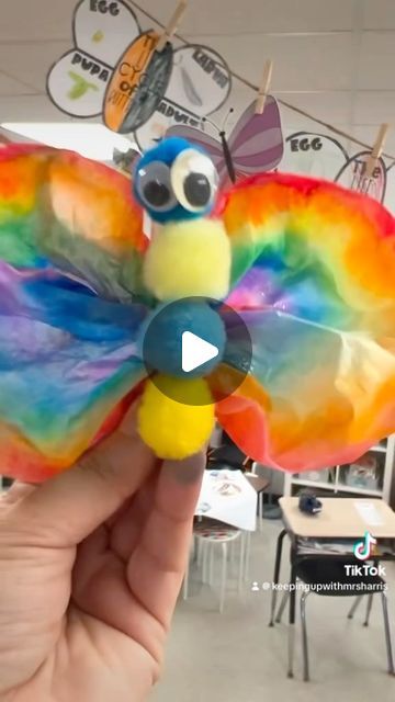 Meghan Harris | Day 3 - Life Cycle of a Butterfly | Instagram Butterfly Cycle, Butterfly Life Cycle Craft, Life Cycle Of A Butterfly, Cycle Of A Butterfly, Life Cycle Craft, Butterfly Life Cycle, Kindergarten Crafts, Life Cycle, Life Cycles