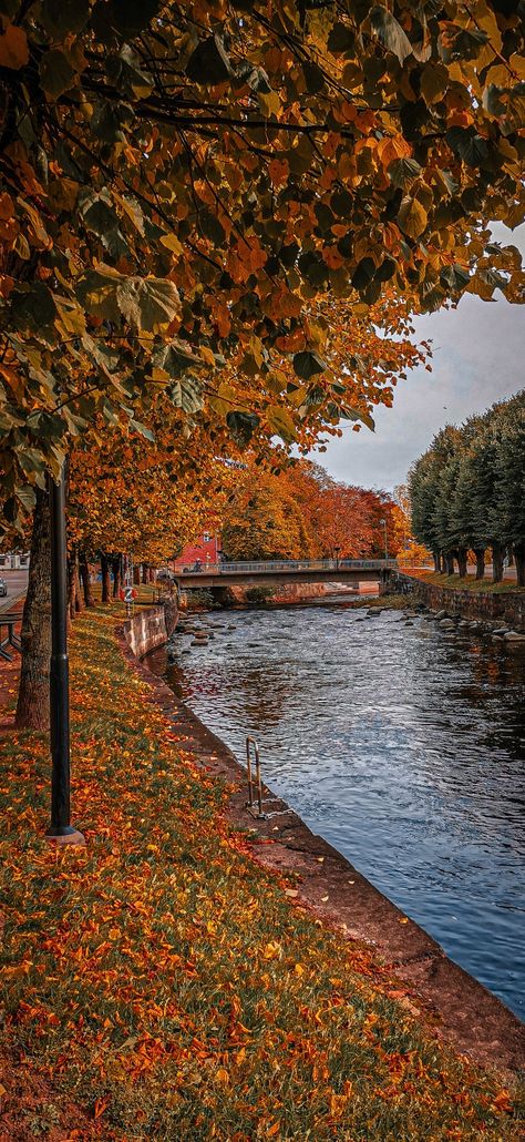 Autumn In Sweden, Leaves Falling Aesthetic, Riverside Aesthetic, Sweden Wallpaper, Sweden Aesthetic, Aesthetic Leaves, Leaves Falling, Beautiful Aesthetic, Dream Travel Destinations