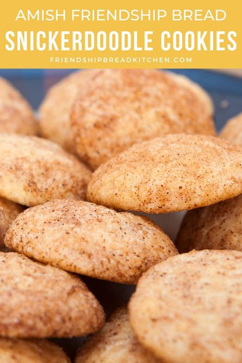 Amish Bread Starter Recipes, Amish Starter, Amish Bread Starter, Amish Cookies, Amish Bread Recipes, Snickerdoodle Cookies Recipe, Pioneer Recipes, Amish Friendship Bread Starter Recipes, Snickerdoodle Cookie Recipe