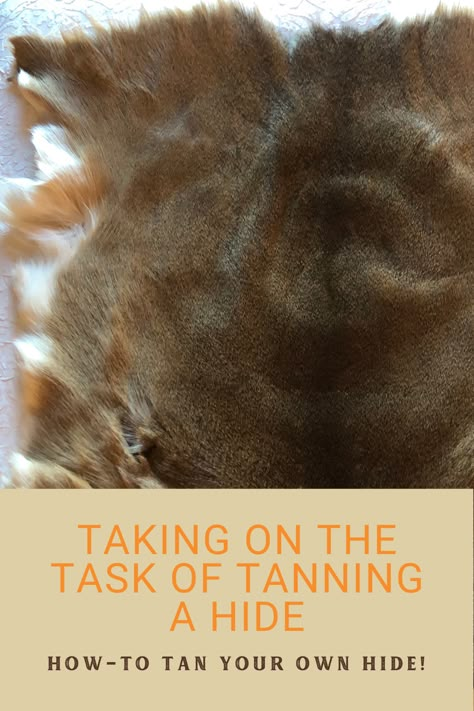 Taking on the Task of Tanning a Hide:: Our resident DIYer took on the monumental task of tanning a hide on her own! Check out this time-intensive project! Tanning A Deer Hide, Hide Tanning Diy, Deer Hide Tanning Diy, Deer Skin Decor, How To Tan Deer Hide, How To Tan A Cowhide, How To Tan A Hide, Tanning Hides Diy, Brain Tanning Hides