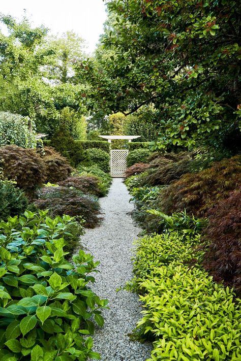 See Martha Stewart's favorite past gardens like this beautiful gravel path in the shady side garden leads to an elegant latticed gate, which opens to her property's backyard and pool. Click here to see more photos of Martha's backyard and favorite past gardens. #gardening #gardenideas #garden #flowergarden #growingflowers Gravel Gardens, Tomato Pruning, Gravel Walkway, Aesthetic Gardening, Clematis Montana, Garden Therapy, Garden Rake, Gravel Path, Gardening Hacks