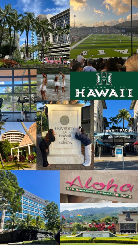 University Of Hawaii Aesthetic, University Of Hawaii At Manoa, Dream Collage, University Of Hawaii, Dreams And Visions, Dream College, Dream School, Hawaii Life, University Life