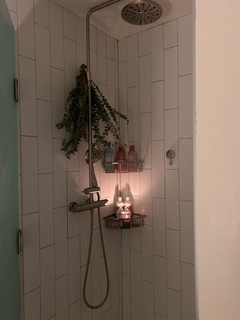 Shower Aesthetic Eucalyptus, Walk In Shower Aesthetic, Aesthetic Shower Caddy, Shower Astethic, Showers Aesthetic, Showering Aesthetic, Self Care Shower, Shower Aesthetic, Style 2025