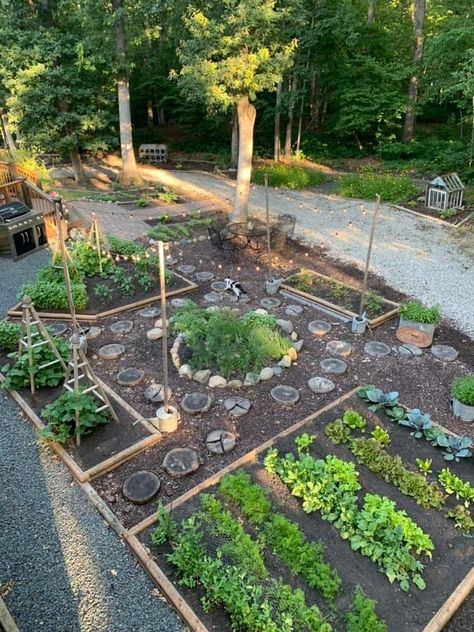 Whimsical Vegetable Garden, Outdoor Kitchen Garden, Backyard Raised Garden, Potager Garden, Veg Garden, Front Yard Garden, Vegetable Garden Design, Home Vegetable Garden, Backyard Garden Design