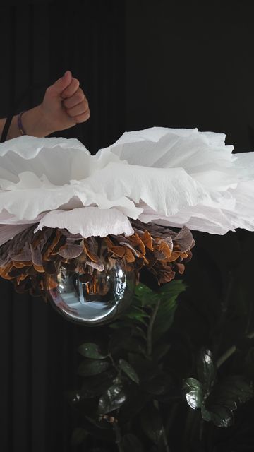 Sandra Eggesten on Instagram: "🤍 . 🤍 . 🤍 . 🤍 . 🤍 . 🤍 . 🤍 . ��🤍 . 🤍 . #designvvv #art #artist #papercrafts #paperflower #makeityourself #femaleartist #process #makehomeyours #makehomematter #lampshadesdesign #lampdesign #lampshade #artofinstagram #paperflowerinspiration #makeyourdreamscometrue #makelampshades #papercraft #flowers #paper #design" Flower Lamp Shade, Feather Chandelier, Flower Chandelier, Lampshade Designs, Flower Lamp, Flowers Paper, Diy Lamp Shade, Giant Flowers, Diy Lamp