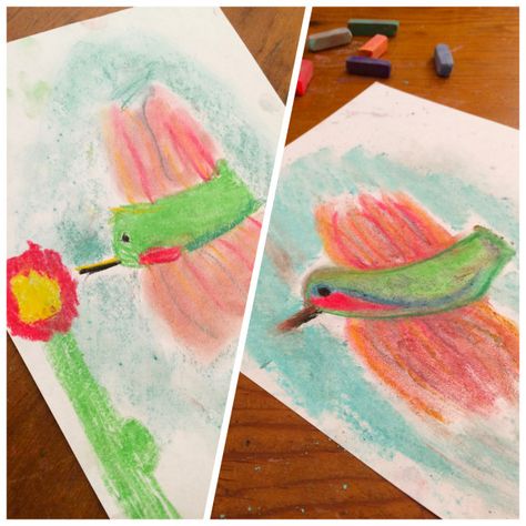 Student art at Hodgepodge Hummingbird Drawing Simple Step By Step, How To Paint Hummingbirds Easy, Drawing Hummingbirds Step By Step, How To Draw Hummingbird Step By Step, Hummingbird Chalk Art, Chalk Pastels, Chalk Art, Student Art, Art School