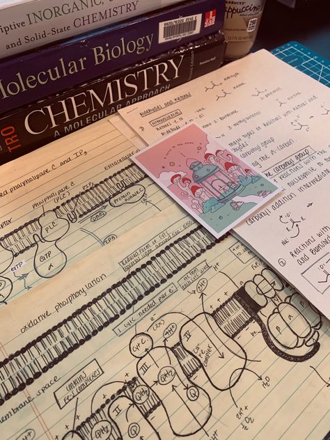 Study Microbiology, Biology Inspiration, Medical Biochemistry, Science Students Aesthetic, Study Science Aesthetic, Studying Science Aesthetic, Chem Class Aesthetic, Biochemistry Aesthetic Notes, Microbiology Student