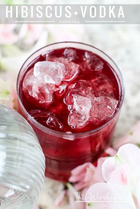 Hibiscus Syrup Cocktail, Hibiscus Recipe, Vodka Cran, Vodka Cranberry Cocktail, Hibiscus Cocktail, Hibiscus Drink, Hibiscus Syrup, Vodka Gifts, Juneteenth Celebration