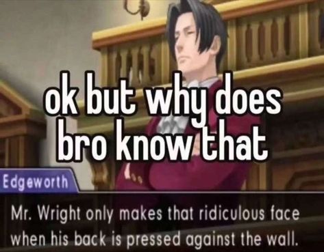 Miles Edgeworth, Phoenix Wright, Ace Attorney, But Why, An Anime, Lawyer, Funny Images, Really Funny, I Laughed