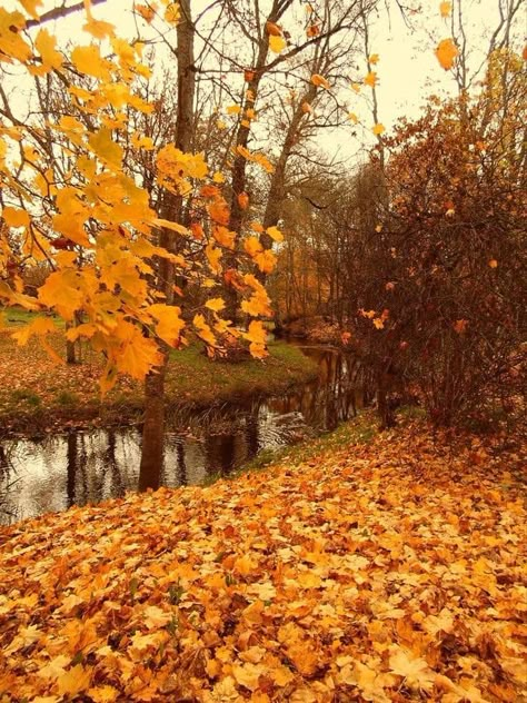 Autumn Crumble, Pumpkin Coffee Cake, Fall Tumblr, Raindrops And Roses, House Deco, Pumpkin Coffee, Autumn Magic, Late Autumn, My Favourite Things