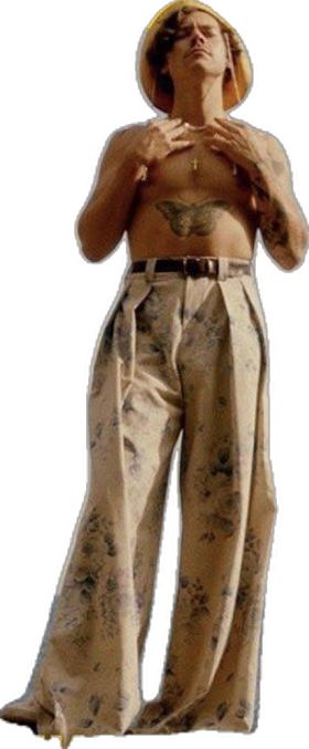 Harry Styles Cutout, Harry Styles Outfits, Harry Styles Golden, Golden Wallpaper, Harry Styles Photos, Teen Room Decor, Beige Aesthetic, Neutral Beige, Pink Aesthetic