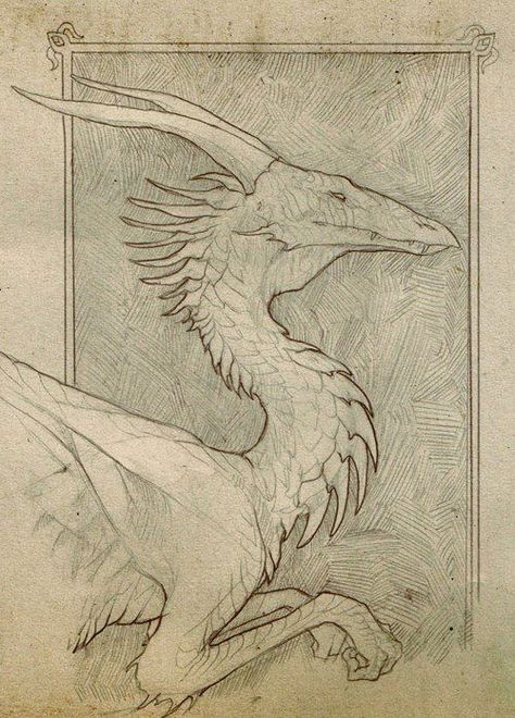 Western Dragons Biotechnology Art, Dragon Anatomy, Dragon Sketch, Dragon Illustration, Tinta China, Dragon Artwork, Modern Fantasy, Dragon Drawing, Creature Concept Art