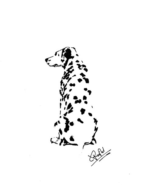 Dalmation Tattoo, Watch Lockscreen, Dog White Background, Animals Planet, Dog White, Dalmatian Dog, Dream Dog, Dalmatian Dogs, Art Curator