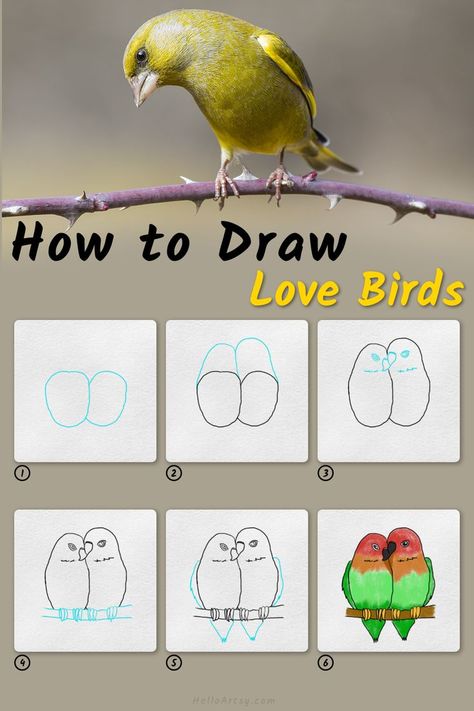 6 steps demonstrating how to draw a how to draw love birds for kids. How To Draw Love Birds Step By Step, Paint Birds Easy, How To Draw Love Birds, Love Birds Drawing Simple, How To Draw Birds Step By Step Simple, How To Draw Birds Easy, How To Draw A Bird, Bird Drawing Simple, Love Birds Drawing